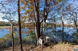 736 Jonquil Rd, Ruckersville, VA 22968 - Photo 36