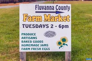 82 Crape Myrtle Dr, Palmyra, VA 22963 - Photo 50