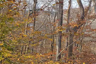 60 Chippewa Ln, Palmyra, VA 22963 - Photo 64