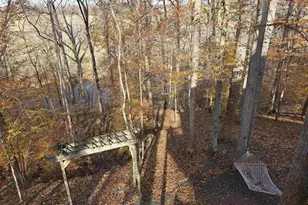 60 Chippewa Ln, Palmyra, VA 22963 - Photo 60