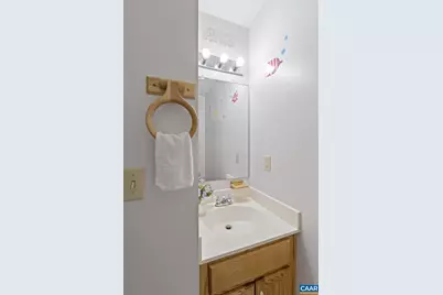 60 Chippewa Ln, Palmyra, VA 22963 - Photo 12