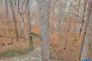 60 Chippewa Ln, Palmyra, VA 22963 - Photo 72