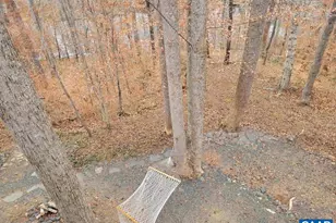 60 Chippewa Ln, Palmyra, VA 22963 - Photo 74