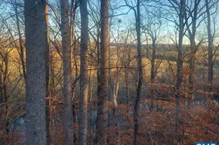 60 Chippewa Ln, Palmyra, VA 22963 - Photo 26