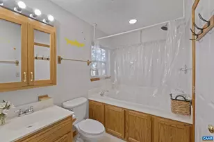 60 Chippewa Ln, Palmyra, VA 22963 - Photo 32