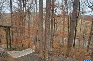 60 Chippewa Ln, Palmyra, VA 22963 - Photo 6