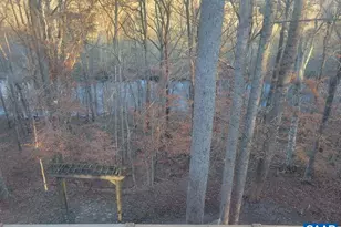 60 Chippewa Ln, Palmyra, VA 22963 - Photo 24