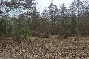 0 Indian Pipe Run, Palmyra, VA 22963 - Photo 6