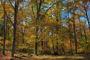 298 Courthouse Mountain Ln, Madison, VA 22727 - Photo 64