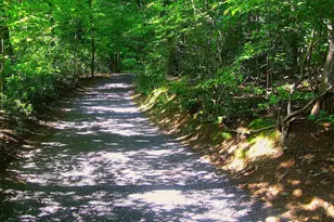 298 Courthouse Mountain Ln, Madison, VA 22727 - Photo 66