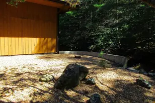 298 Courthouse Mountain Ln, Madison, VA 22727 - Photo 62