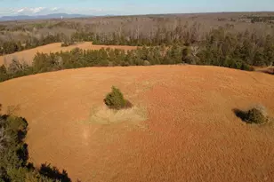 2037 N Boston Rd, Troy, VA 22974 - Photo 22