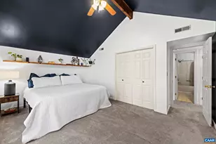 107 Pine Bluff Rd, Ruckersville, VA 22968 - Photo 34