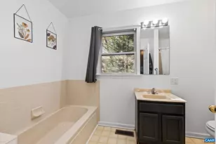 107 Pine Bluff Rd, Ruckersville, VA 22968 - Photo 24