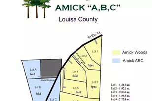 375 Amick Rd, Louisa, VA 23093 - Photo 28