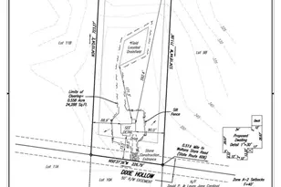 Dixie Hollow, Louisa, VA 23093 - Photo 18