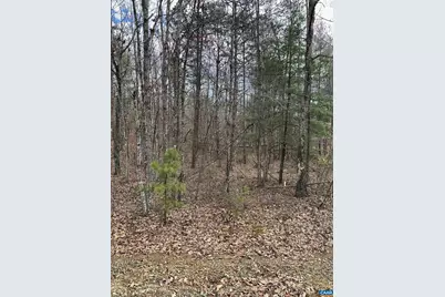 Lot 219 Pinehurst Dr, Louisa, VA 23093 - Photo 2