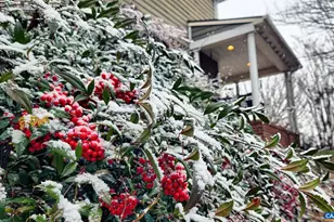 2 Forest Ct, Zion Crossroads, VA 22942 - Photo 8