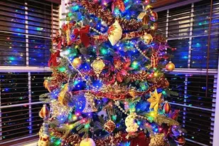 2 Forest Ct, Zion Crossroads, VA 22942 - Photo 26