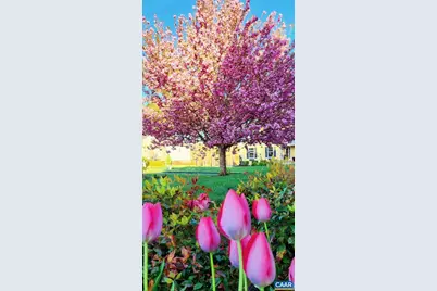 2 Forest Ct, Zion Crossroads, VA 22942 - Photo 6