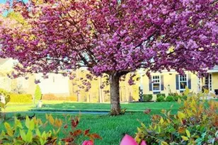 2 Forest Ct, Zion Crossroads, VA 22942 - Photo 6