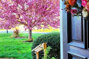 2 Forest Ct, Zion Crossroads, VA 22942 - Photo 12