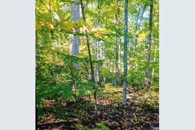 Lot 1154 Ferndale Dr #1154, Louisa, VA 23093 - Photo 1