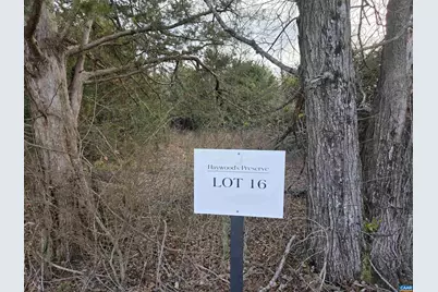 Lot 16 Pea Ridge Rd, Stanardsville, VA 22973 - Photo 4