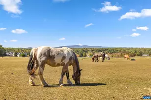 789 Pinehurst Dr, Gordonsville, VA 22942 - Photo 72