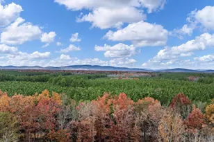 789 Pinehurst Dr, Gordonsville, VA 22942 - Photo 44