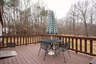 361 Haden Martin Rd, Palmyra, VA 22963 - Photo 12