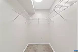 334 Carodon Dr, Ruckersville, VA 22968 - Photo 46