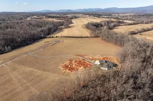 290 Grange Cmns Rdg, Ruckersville, VA 22968 - Photo 20