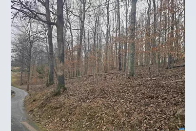 0 Barrett St, Palmyra, VA 22963 - Photo 4