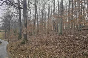 0 Barrett St, Palmyra, VA 22963 - Photo 4