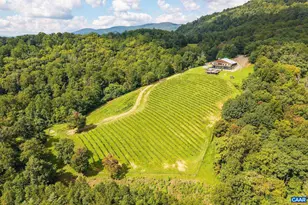 1376A Wyatt Mountain Rd, Dyke, VA 22935 - Photo 2