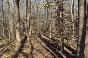 2019 Bybee Rd, Louisa, VA 23093 - Photo 42