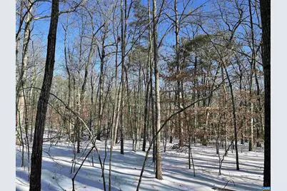 02 Beaverdam Rd #2, Keswick, VA 22947 - Photo 4