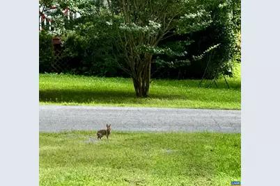 10 Loblolly Rd, Palmyra, VA 22963 - Photo 26