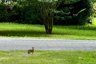 10 Loblolly Rd, Palmyra, VA 22963 - Photo 26