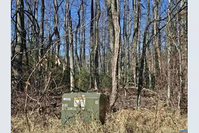 Tbd Lot 56G Turkey Ridge Rd #56G, Stanardsville, VA 22973 - Photo 6