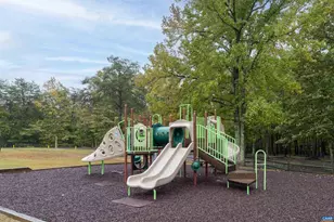 240 Oakmont Dr, Gordonsville, VA 22942 - Photo 38