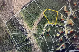 Lot 61 Old Forest Dr, Palmyra, VA 22963 - Photo 1