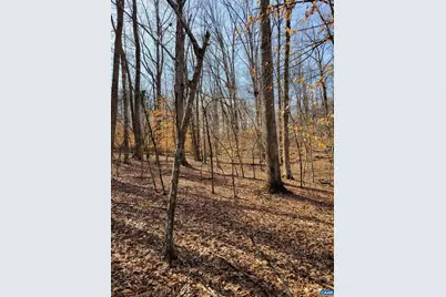 0 Lexie Ln, Palmyra, VA 22963 - Photo 6