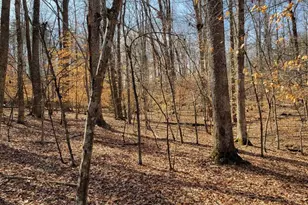 0 Lexie Ln, Palmyra, VA 22963 - Photo 6