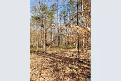 0 Lexie Ln, Palmyra, VA 22963 - Photo 10