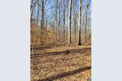 0 Lexie Ln, Palmyra, VA 22963 - Photo 4