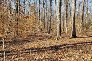 0 Lexie Ln, Palmyra, VA 22963 - Photo 4