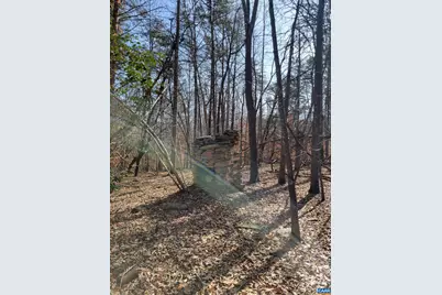 0 Lexie Ln, Palmyra, VA 22963 - Photo 8