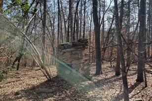 0 Lexie Ln, Palmyra, VA 22963 - Photo 8